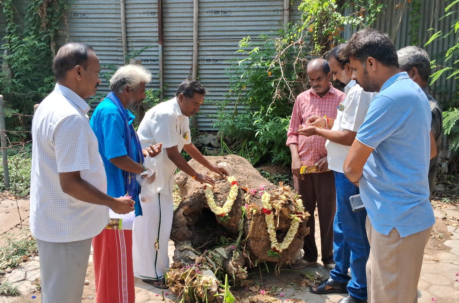 பல்லடத்தில் மரத்திற்கு மாலை அணிவித்து மரியாதை செலுத்திய சமூக ஆர்வலர்கள்