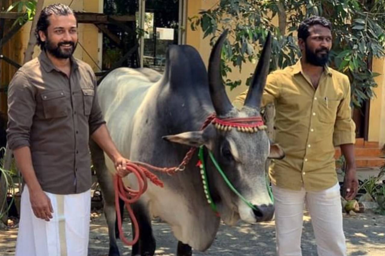 “வாடிவாசல்” வழக்கம்போல் இந்த ஆண்டும் அதே தானா ?.!