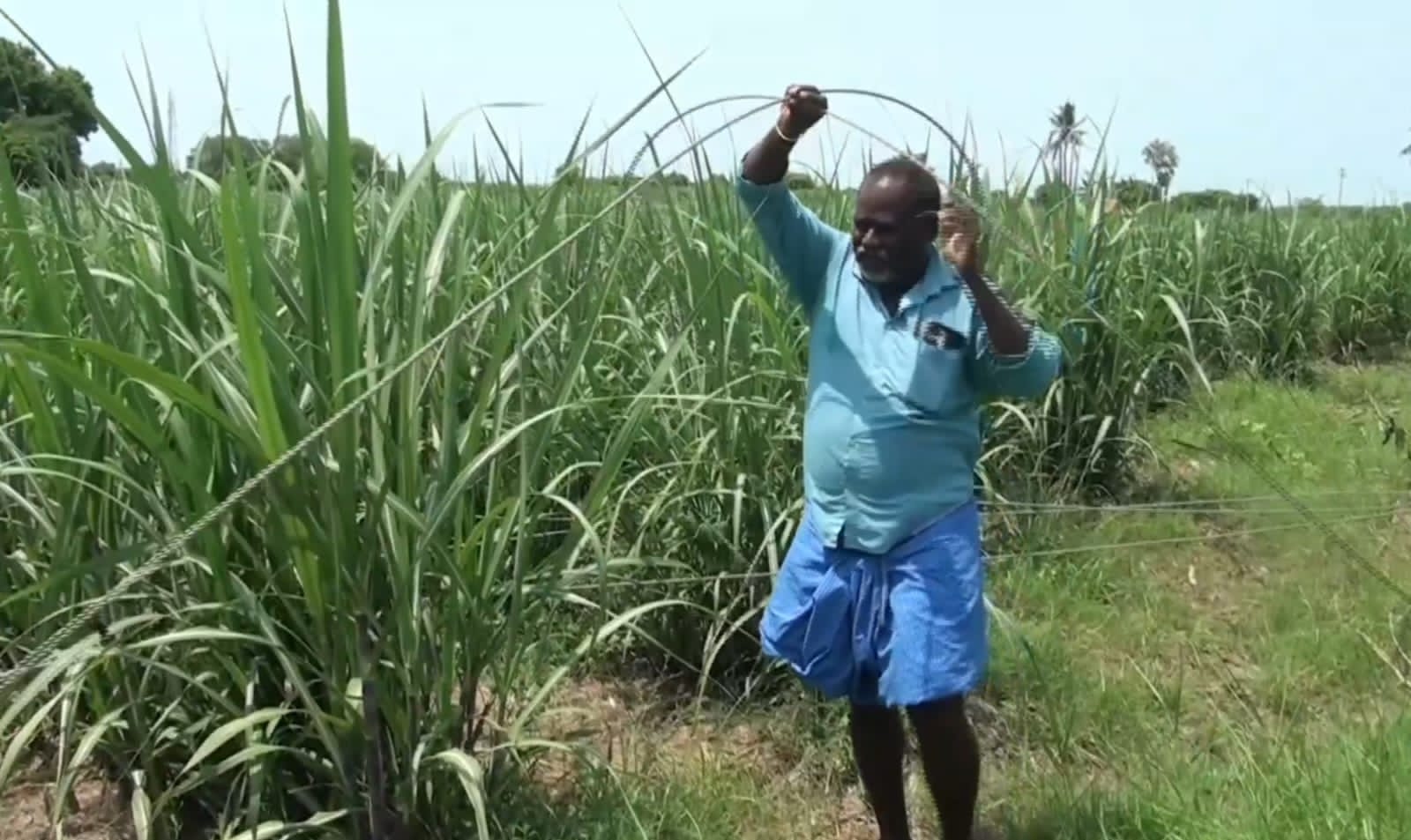 தரையோடு தரையாக கிடக்கும் மின் கம்பிகள்,  தவிக்கும் விவசாயிகள் ! கண்டுகொள்ளாத அதிகாரிகள் !