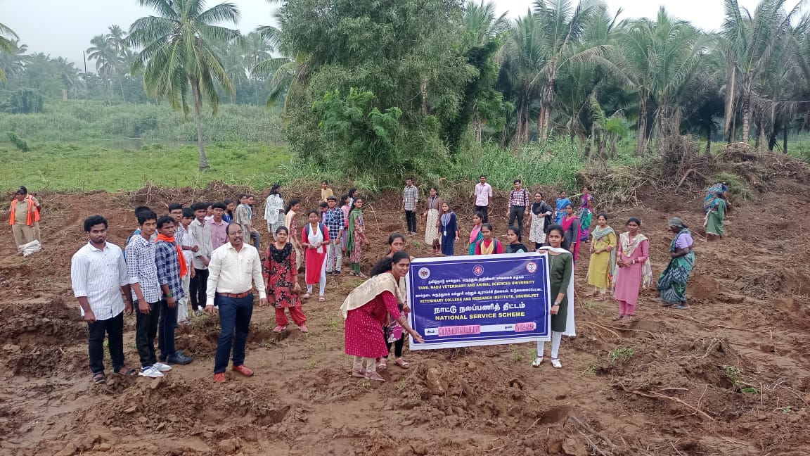 உடுமலைப்பேட்டையில் “மழை உடுமலை” சார்பில் பனை விதை நடும் விழா !