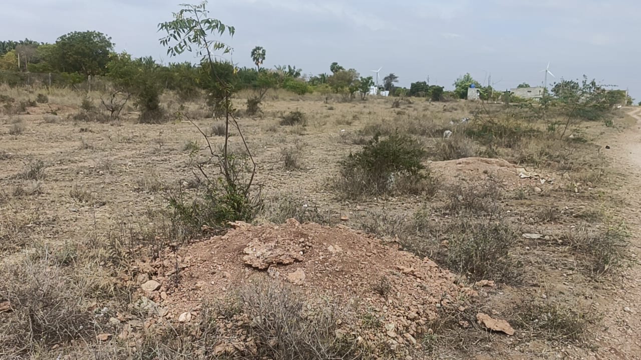 அடமானம் வைத்து கடன் வாங்கிய வீடு மாயம் ! கூட்டுறவு வங்கி… உண்மையும், பின்னணியும் ! பல்லடம் அருகே பரபரப்பு !